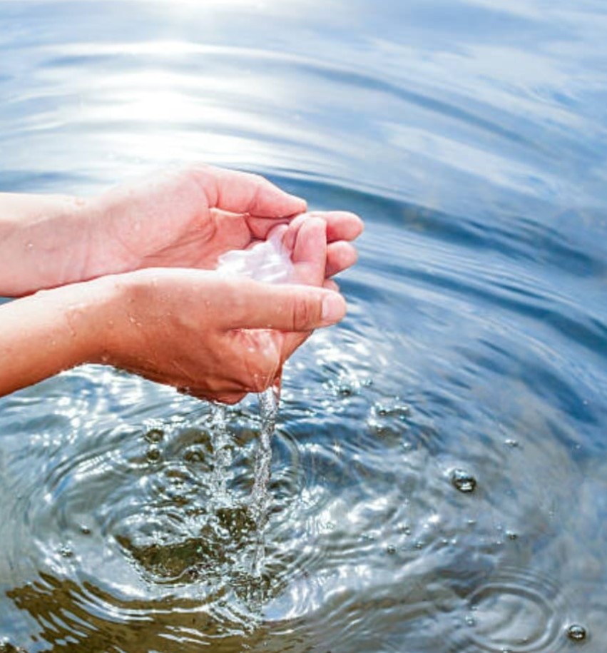 Ecotherapy with Antoinette Oshea