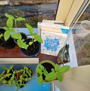 Ecotherapy with Antoinette Oshea