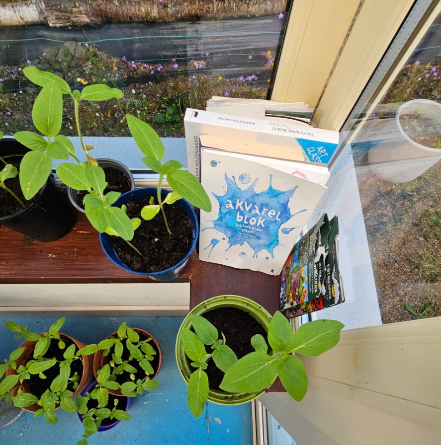 Ecotherapy with Antoinette Oshea